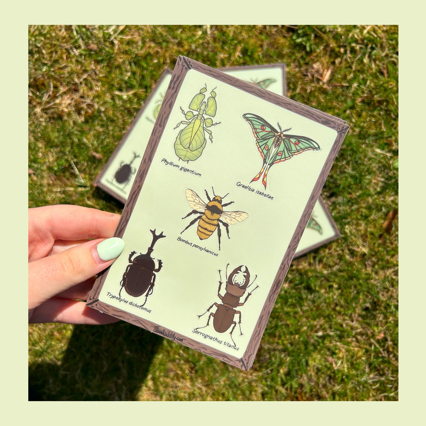 Sticker Sheet