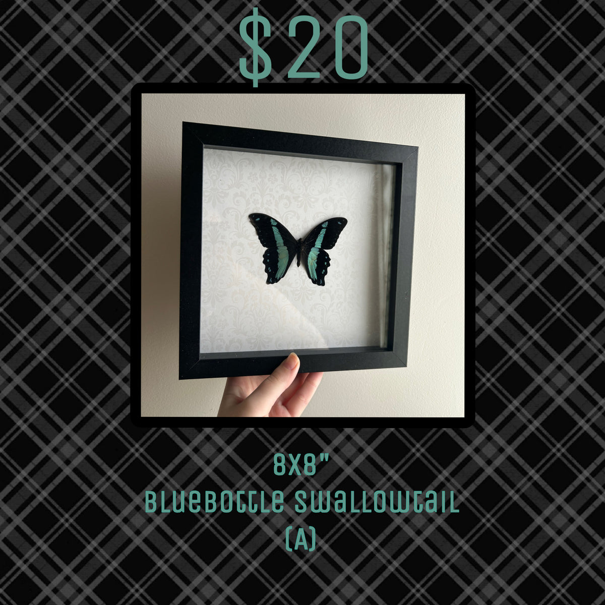 Taxidermy Bundle