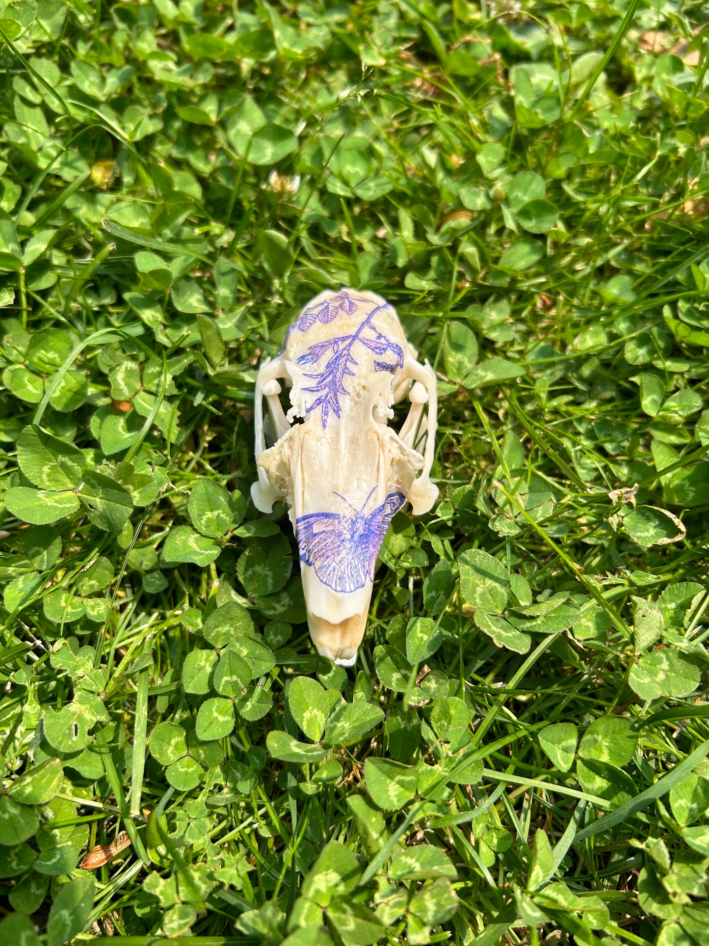 Floral Rabbit Skull (B)