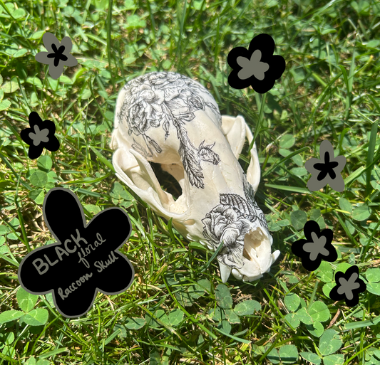 Black Floral Raccoon Skull