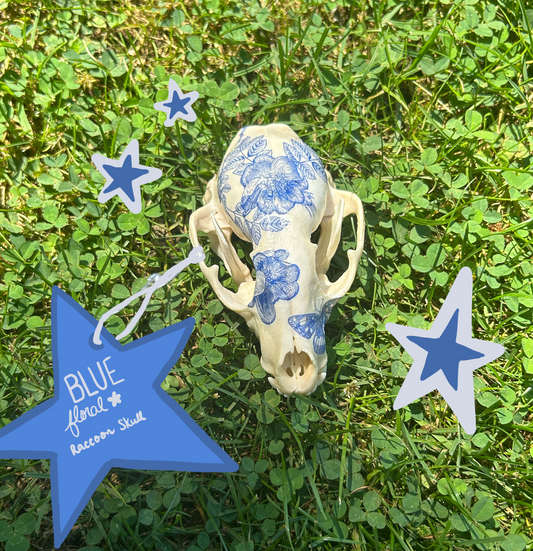 Blue Floral Raccoon Skull