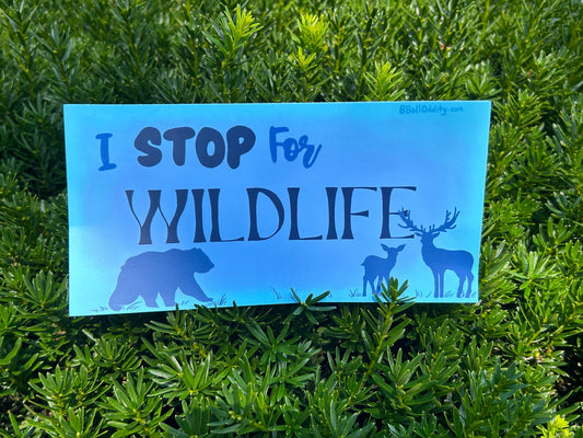 Wildlife Bumper Sticker